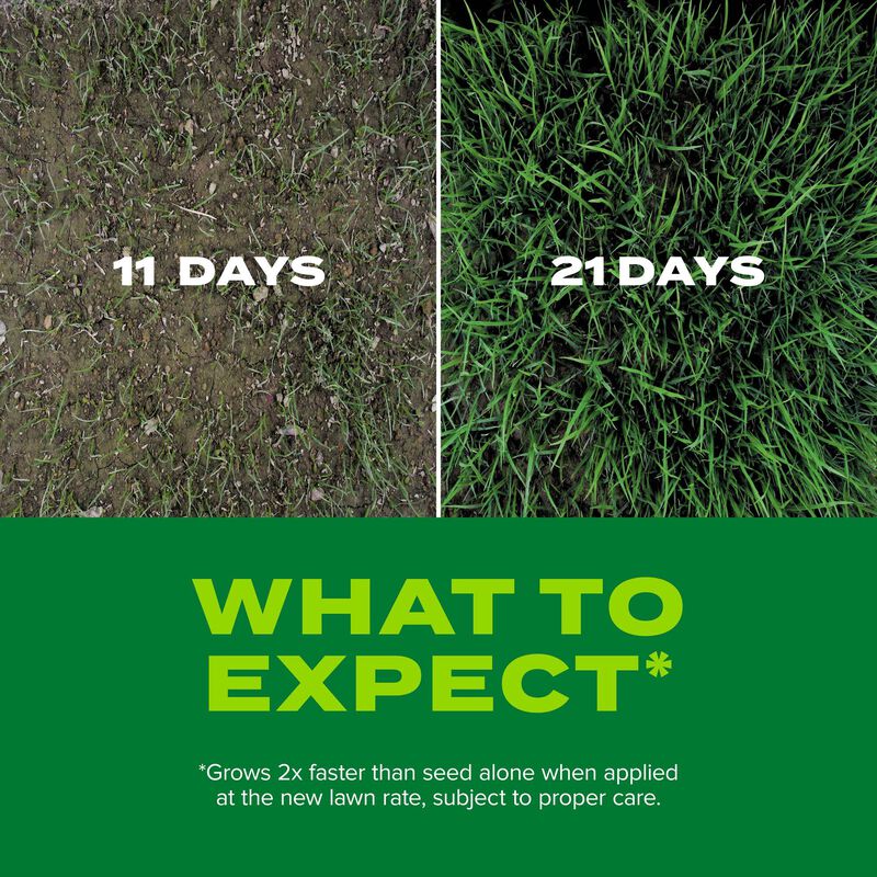 Scotts&reg; Turf Builder&reg; Rapid Grass&trade; Tall Fescue Mix image number null