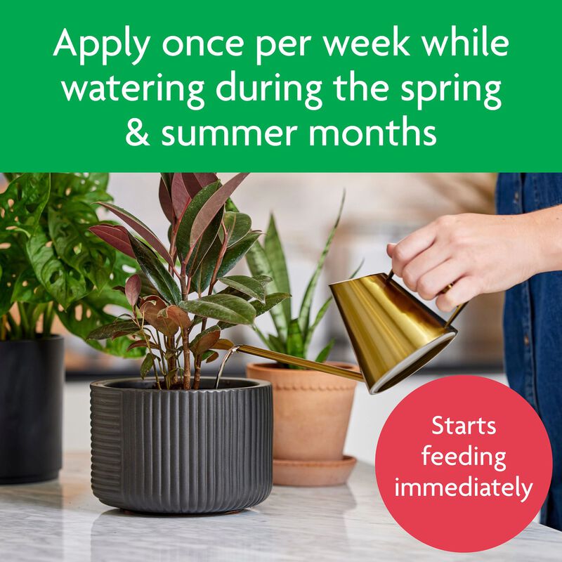 Miracle-Gro&reg; Tropical Houseplant Food image number null