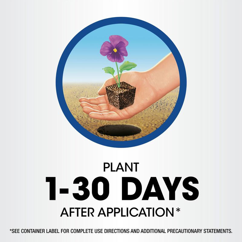 Roundup&reg; Weed & Grass Killer₄ Concentrate image number null