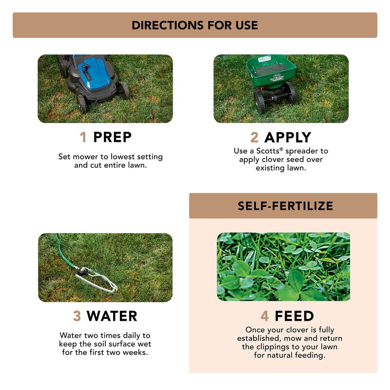 Scotts&reg; Turf Builder&reg; Clover Lawn image number null