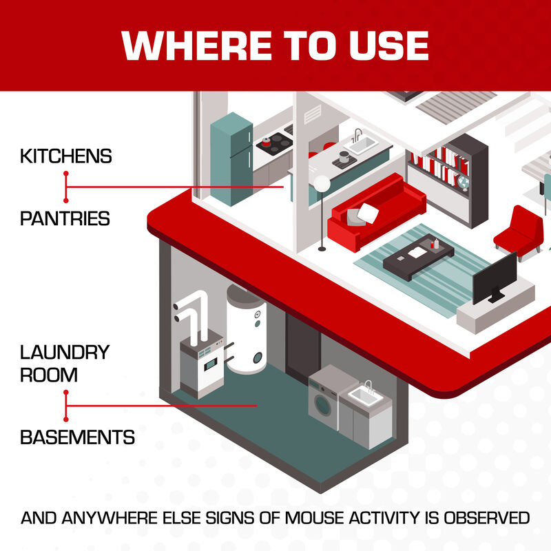 Tomcat&reg; Super Hold Glue Traps Mouse Size image number null