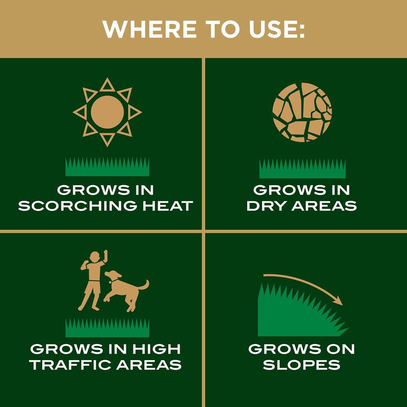 Scotts&reg; EZ Seed&reg; Patch & Repair Bermudagrass image number null