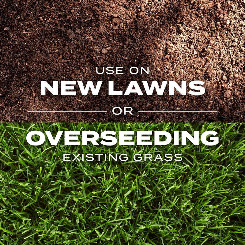 Scotts&reg; Turf Builder&reg; Rapid Grass&trade; Bermudagrass image number null