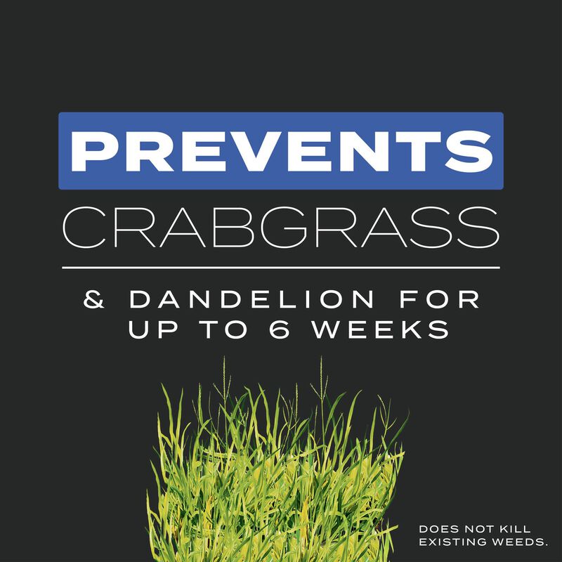 Scotts&reg; Turf Builder&reg; Triple Action Built For Seeding image number null