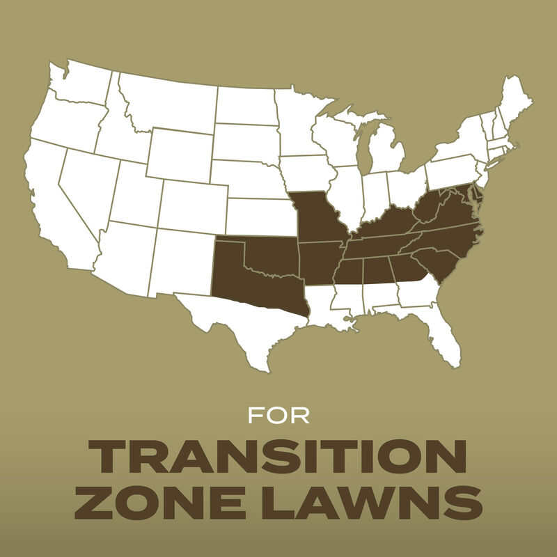 Scotts&reg; Turf Builder&reg; Grass Seed Southern Gold&reg; Mix for Tall Fescue Lawns image number null