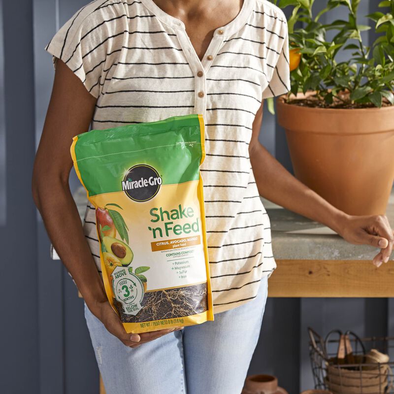 Miracle-Gro&reg; Shake 'n Feed Citrus, Avocado and Mango Plant Food image number null