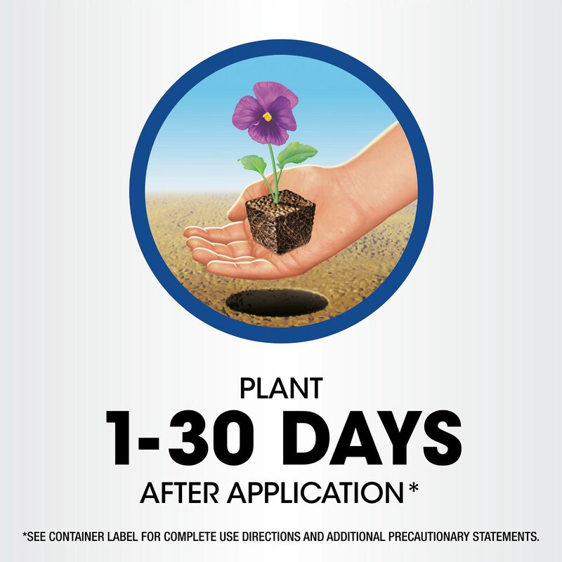 Roundup&reg; Weed & Grass Killer₄ with Sure Shot Wand&reg; image number null