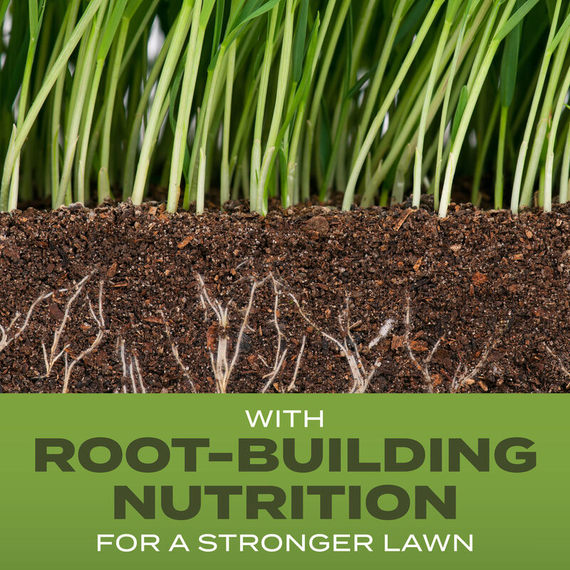 Scotts&reg; Turf Builder&reg; Grass Seed Tall Fescue Mix image number null