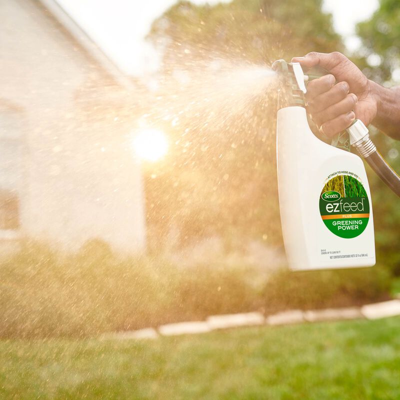 Scotts&reg; EZ Feed&trade; Plus Greening Power image number null