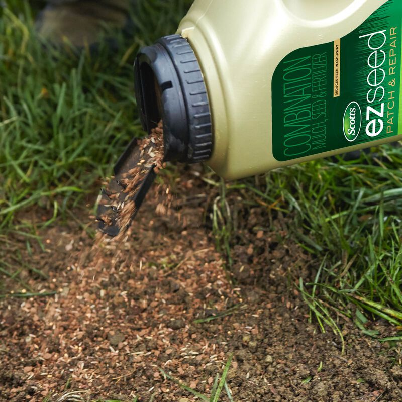 Scotts&reg; EZ Seed&reg; Patch & Repair Tall Fescue Lawns image number null