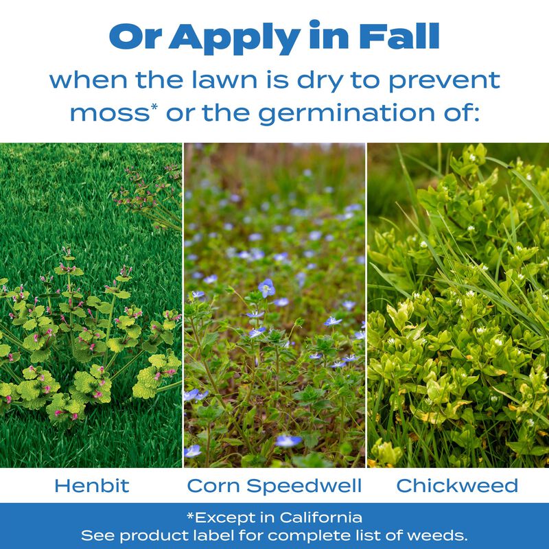 Scotts&reg; Halts&reg; Crabgrass & Grassy Weed Preventer image number null