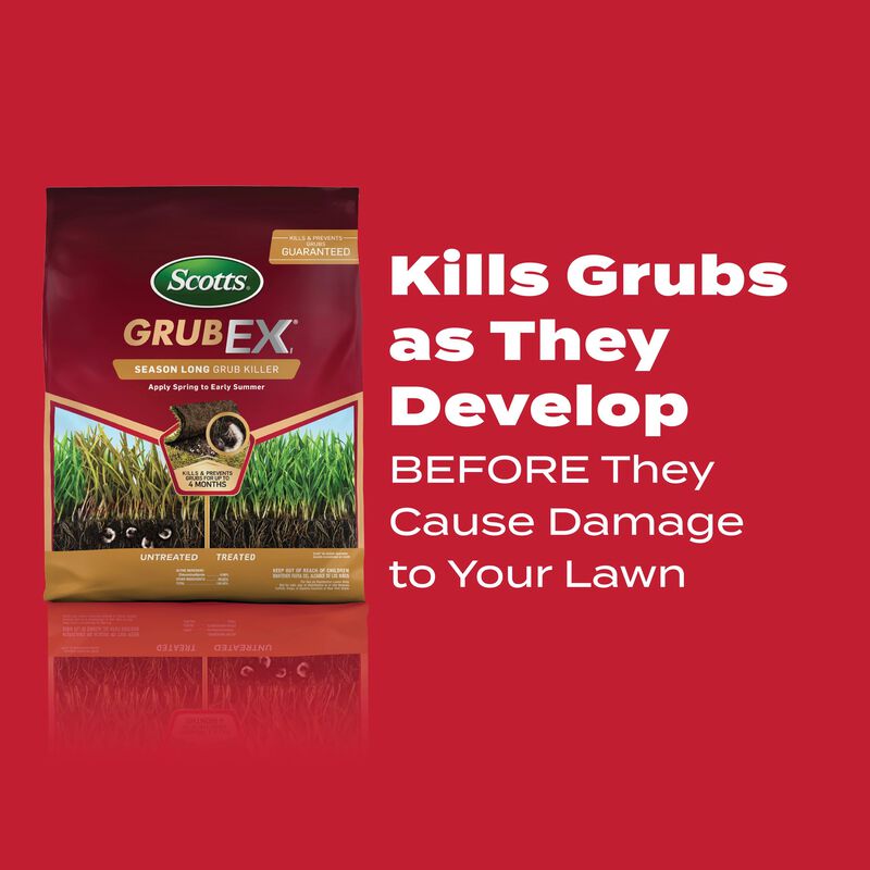 Scotts&reg; GrubEx&reg;₁ Season Long Grub Killer image number null