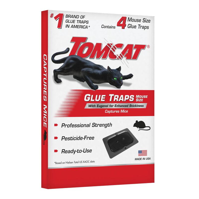 Tomcat&reg; Glue Traps Mouse Size with Eugenol for Enhanced Stickiness image number null