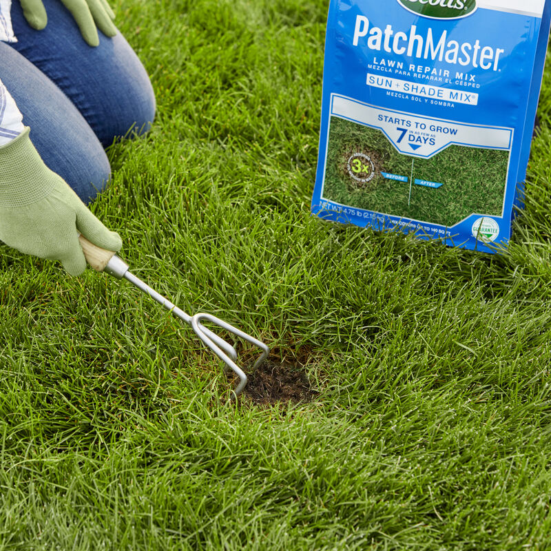 Scotts&reg; PatchMaster&reg; Lawn Repair Mix Sun + Shade Mix image number null