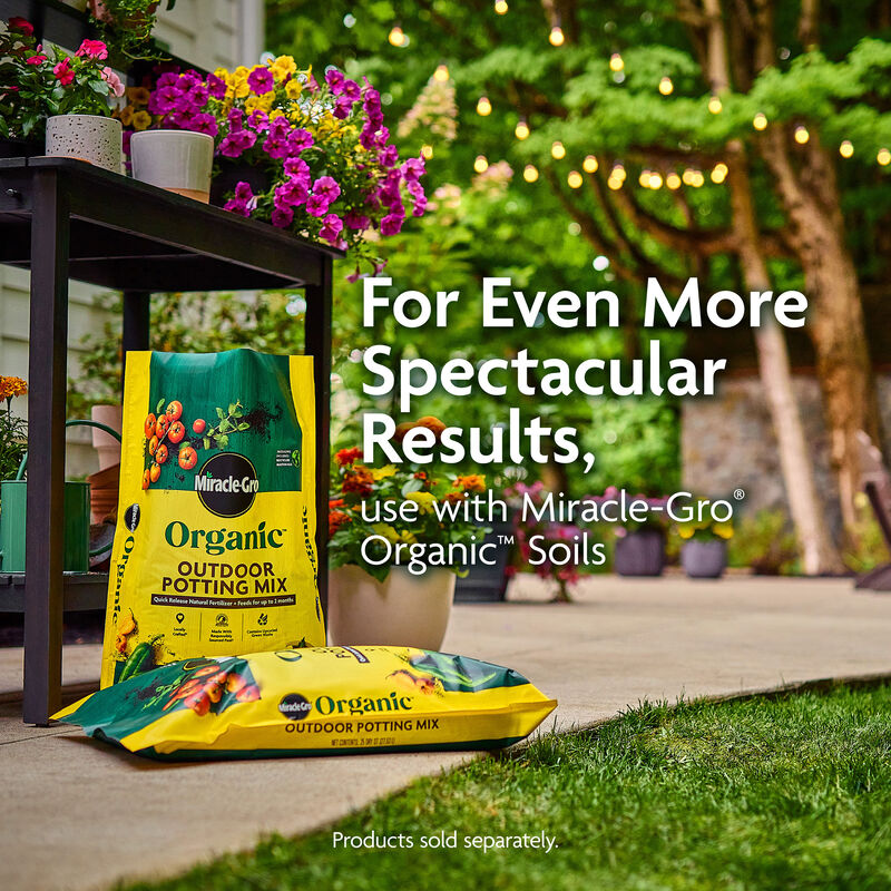 Miracle-Gro Organic&trade; All Purpose Plant Food image number null