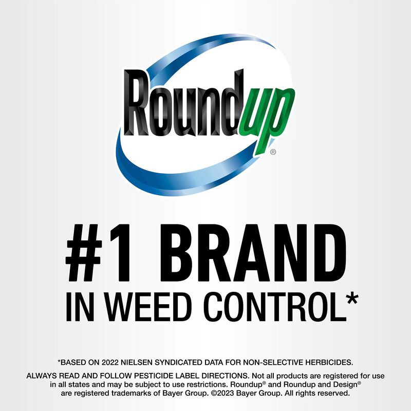 Roundup&reg; Weed & Grass Killer₄ with Sure Shot Wand&reg; image number null