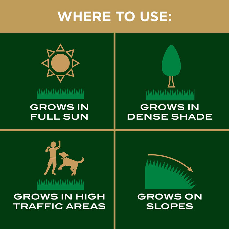 Scotts&reg; EZ Seed&reg; Patch & Repair Sun and Shade image number null