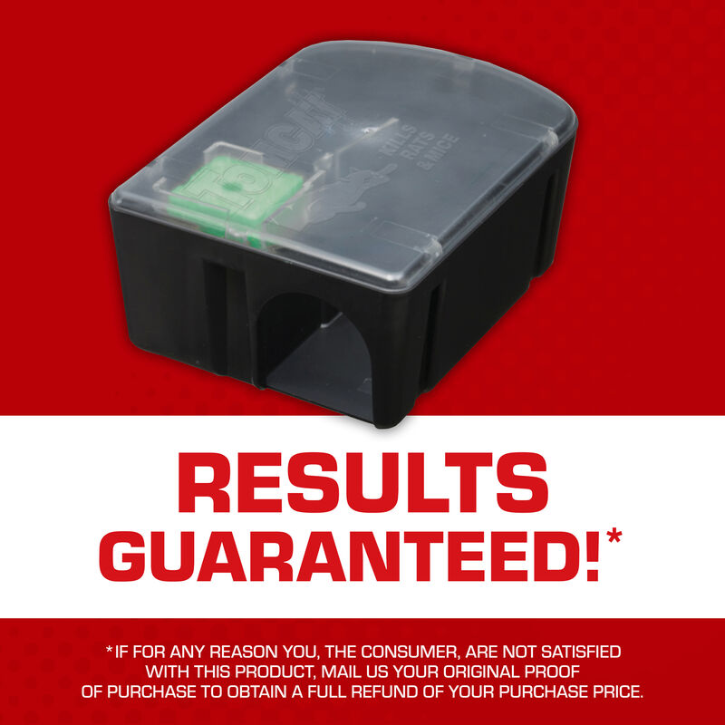 Tomcat&reg; Rat & Mouse Killer Child & Dog Resistant, Disposable Station image number null