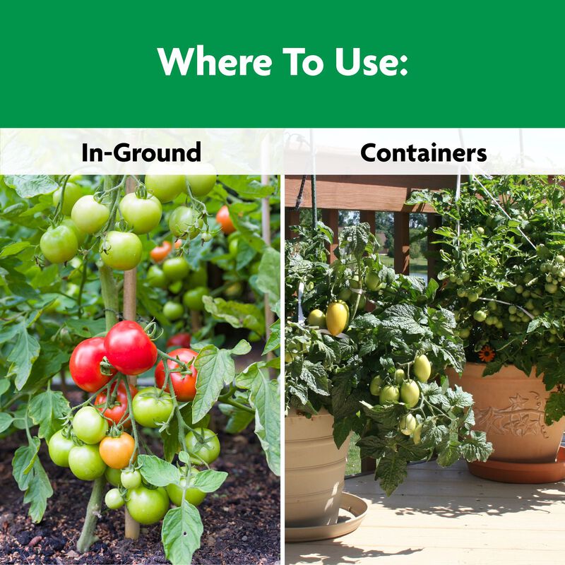 Miracle-Gro&reg; Shake 'N Feed&reg; Tomato, Fruit & Vegetable Plant Food image number null