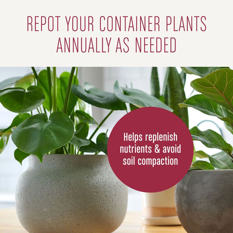 Miracle-Gro&reg; Houseplant Potting Mix image number null