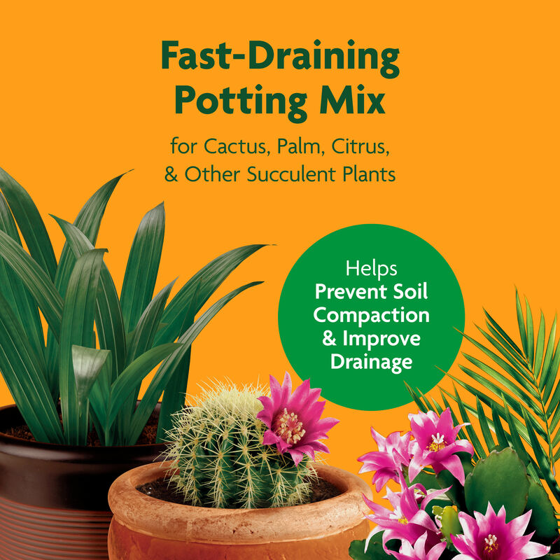 Miracle-Gro&reg; Cactus, Palm & Citrus Potting Mix image number null