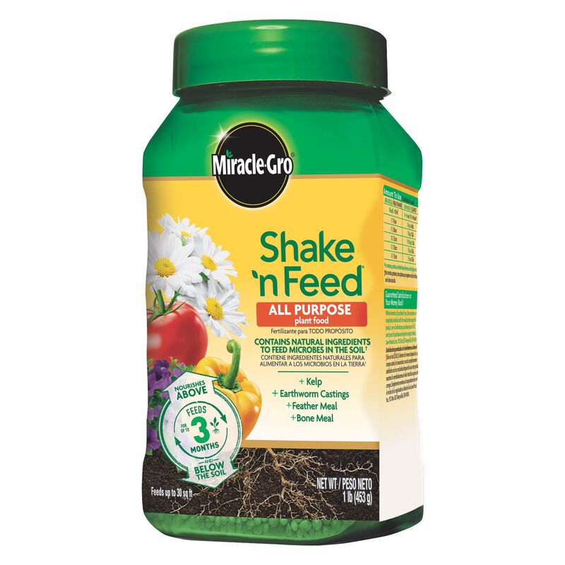 Miracle-Gro&reg; Shake 'N Feed All Purpose Plant Food with Universal Snap-On Feeder image number null