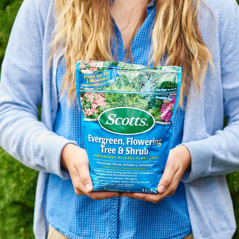Scotts&reg; Evergreen Flowering Tree & Shrub Continuous Release Plant Food image number null