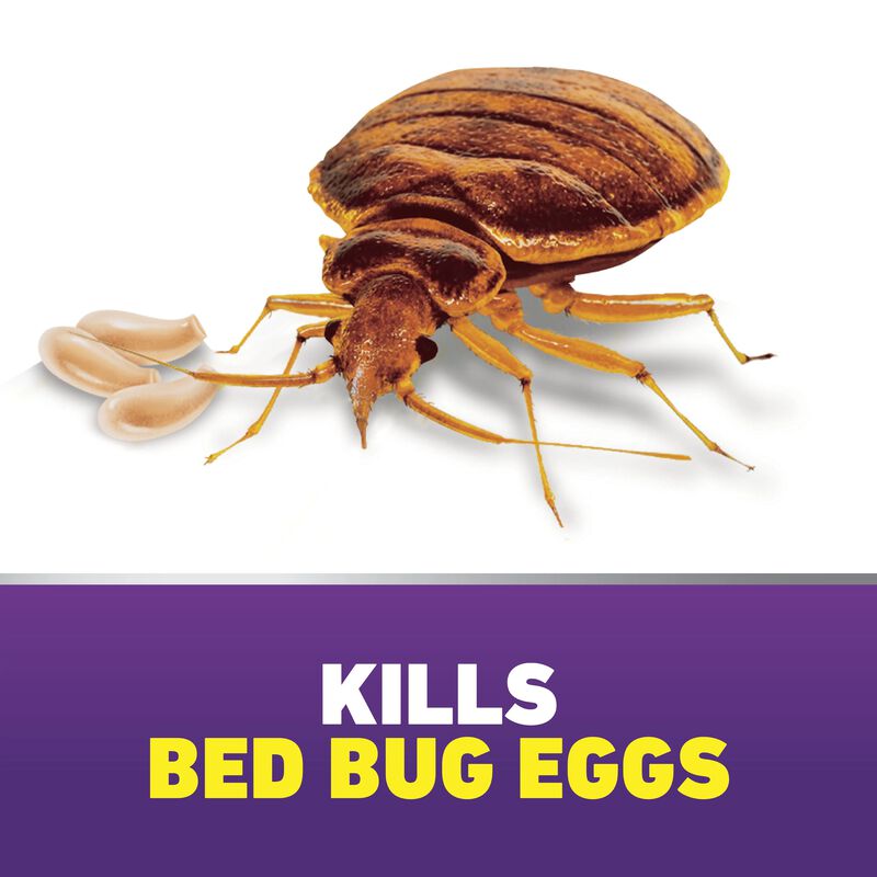 Ortho&reg; Home Defense&reg; MAX&reg; Bed Bug Killer image number null