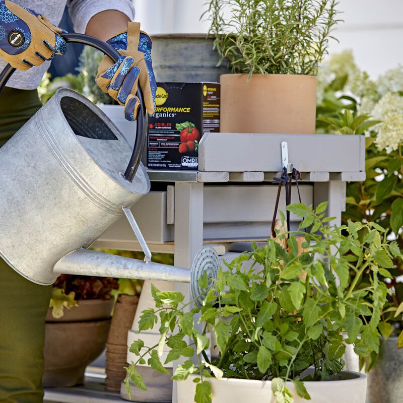 Miracle-Gro&reg; Performance Organics Edibles Plant Nutrition image number null