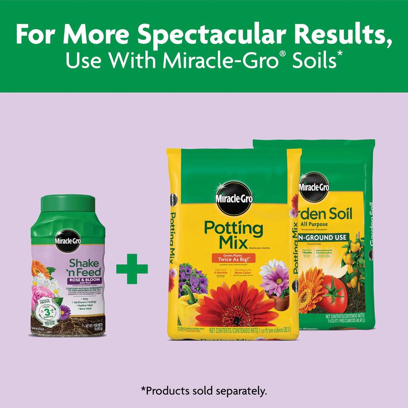 Miracle-Gro&reg; Shake 'n Feed Rose & Bloom Plant Food image number null