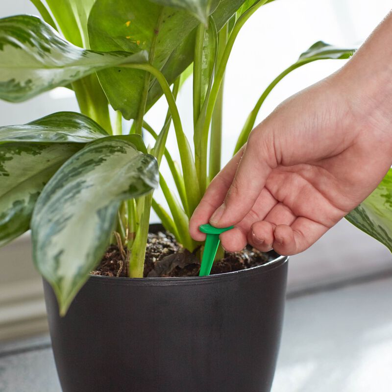 Miracle-Gro&reg; Indoor Plant Food Spikes image number null