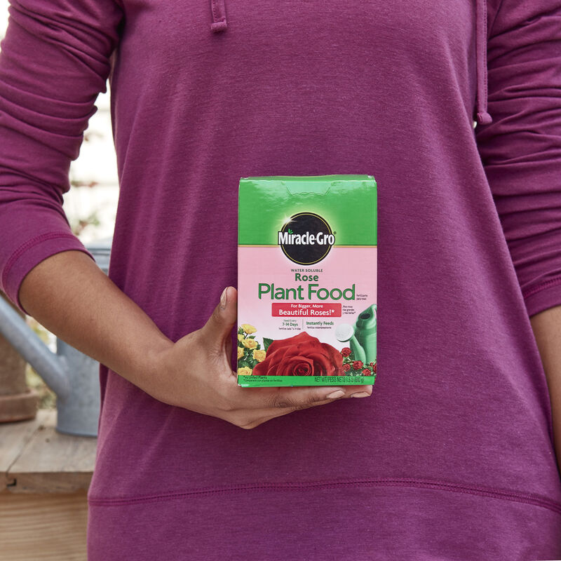 Miracle-Gro&reg; Water Soluble Rose Plant Food image number null