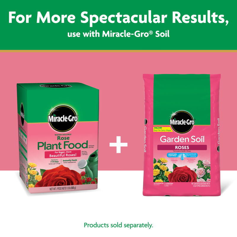 Miracle-Gro&reg; Water Soluble Rose Plant Food image number null