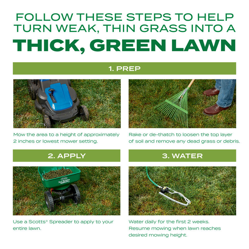 Scotts&reg; Turf Builder&reg; Thick'R Lawn&reg; Tall Fescue Mix image number null