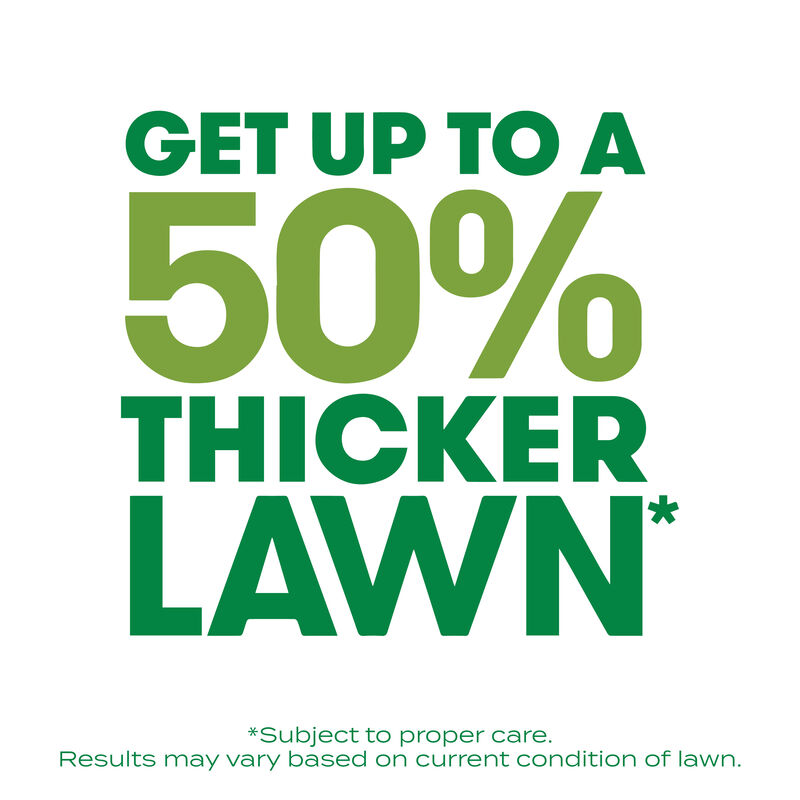 Scotts&reg; Turf Builder&reg; Thick'R Lawn&reg; Tall Fescue Mix image number null