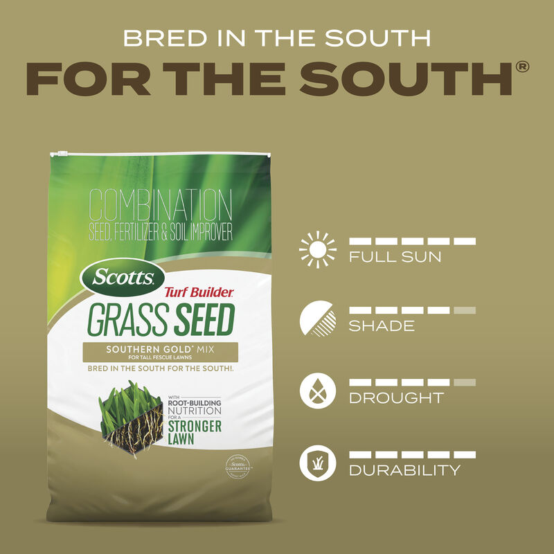 Scotts&reg; Turf Builder&reg; Grass Seed Southern Gold&reg; Mix for Tall Fescue Lawns image number null