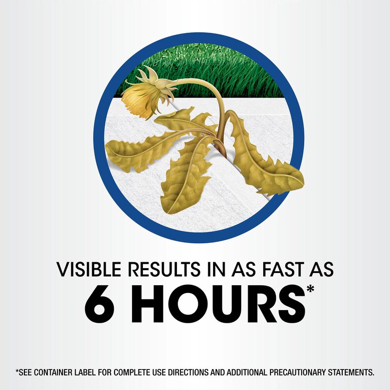 Roundup&reg; Weed & Grass Killer₄ with Sure Shot Wand&reg; image number null