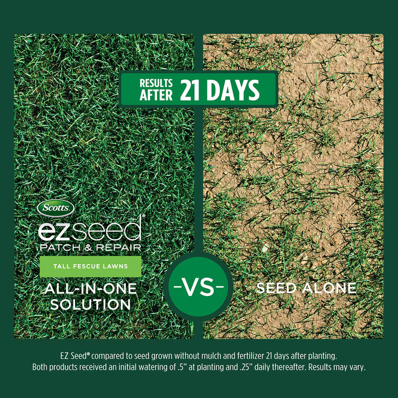 Scotts&reg; EZ Seed&reg; Patch & Repair Tall Fescue Lawns image number null
