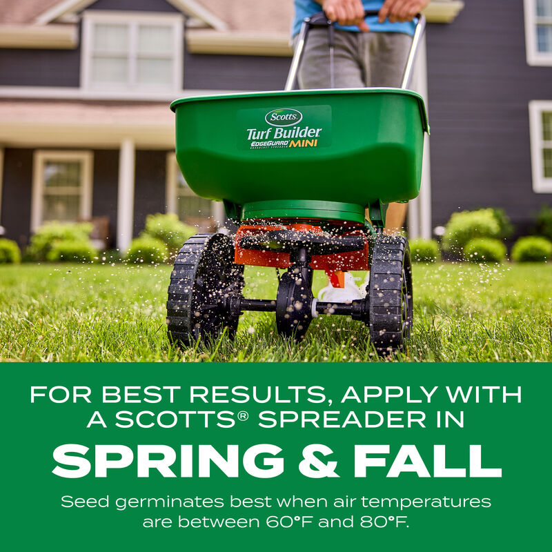 Scotts&reg; Turf Builder&reg; Thick'R Lawn&reg; Tall Fescue Mix image number null