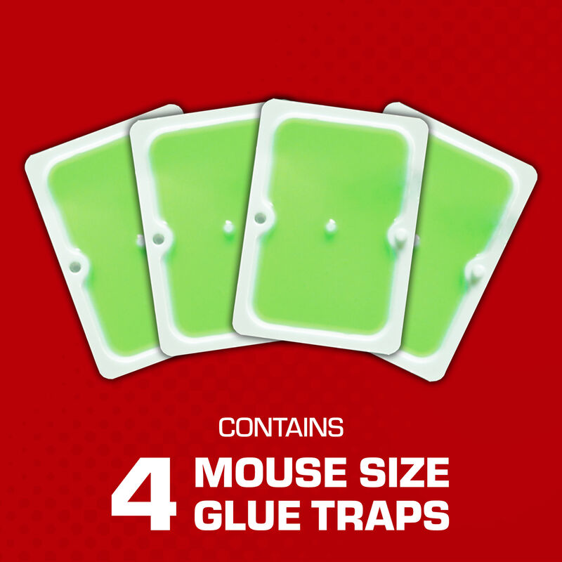 Tomcat&reg; Super Hold Glue Traps Mouse Size image number null