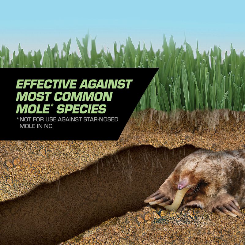 Tomcat&reg; Mole Killer Grubs image number null