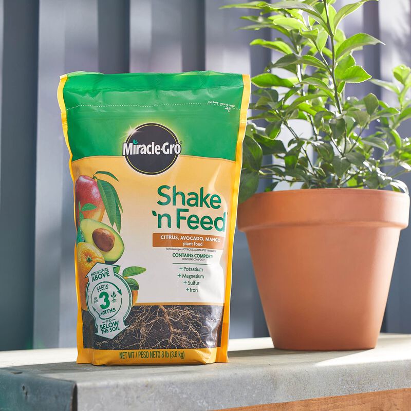 Miracle-Gro&reg; Shake 'n Feed Citrus, Avocado and Mango Plant Food image number null