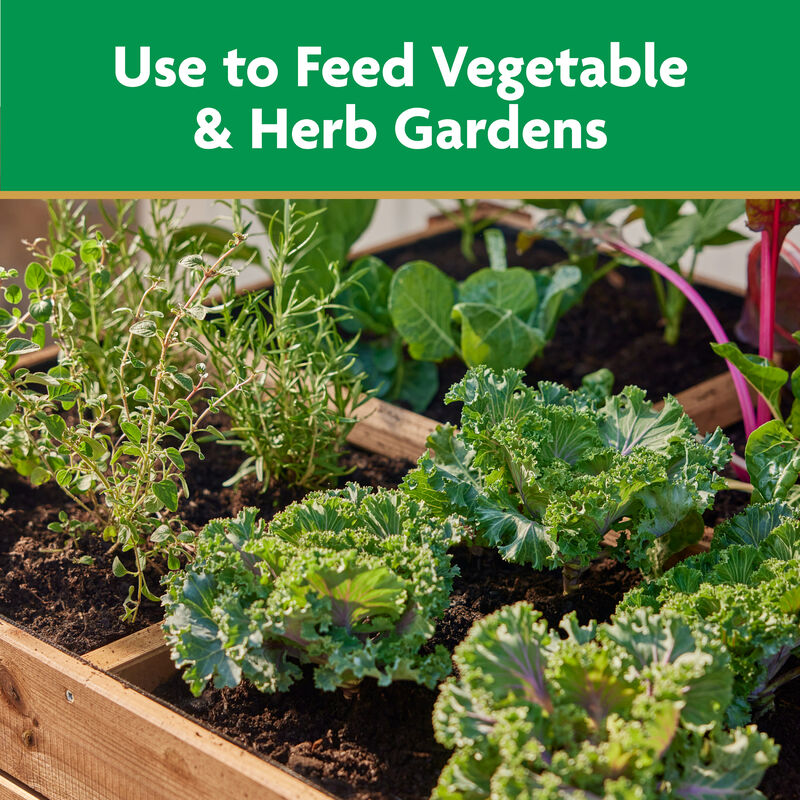 Miracle-Gro&reg; Water Soluble Plant Food Vegetables and Herbs image number null