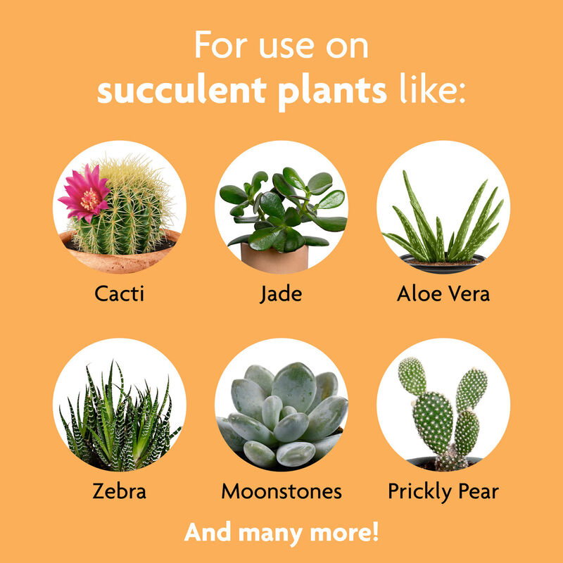 Miracle-Gro&reg; Succulent Plant Food image number null