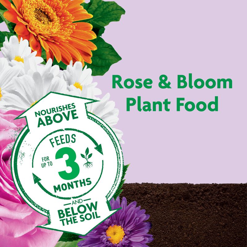 Miracle-Gro&reg; Shake 'n Feed Rose & Bloom Plant Food image number null