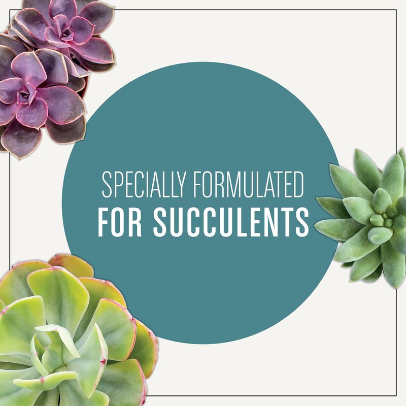 Miracle-Gro&reg; Succulent Potting Mix image number null