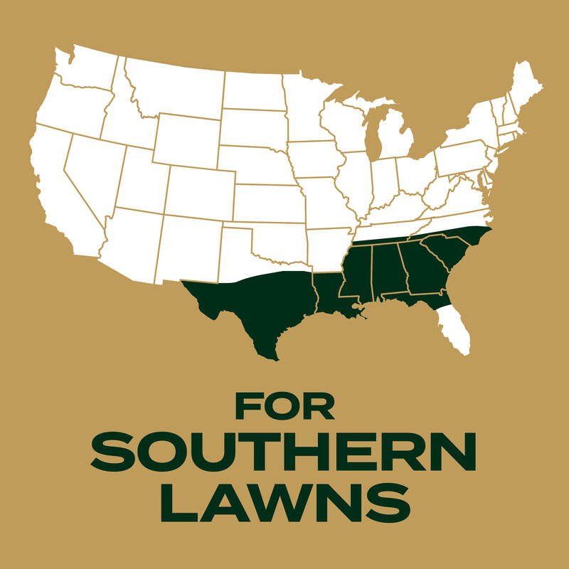 Scotts&reg; EZ Seed&reg; Patch & Repair Centipede Grass image number null