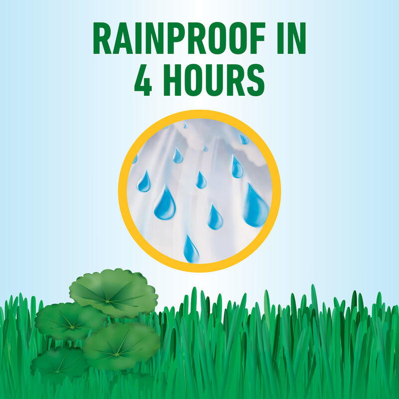 Roundup&reg; for Lawns₄ Ready-To-Use (Southern) image number null