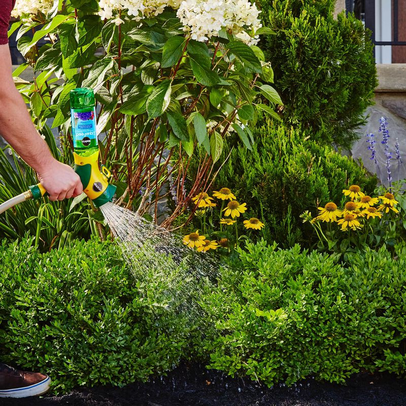 Miracle-Gro&reg; LiquaFeed Flowering Trees & Shrubs Plant Food image number null