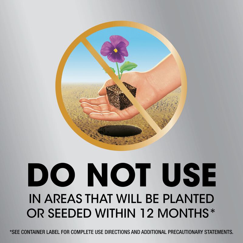 Roundup&reg; Dual Action 365 Weed & Grass Killer Plus 12 Month Preventer with Comfort Wand&reg; image number null